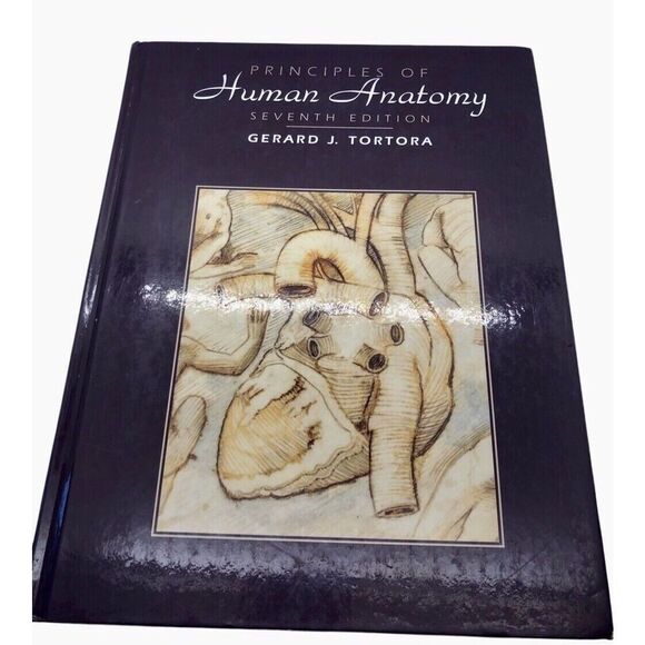 Principles Of Human Anatomy 1995 Seventh Edition Hard Cover Book Good Condition - Picture 1 of 13